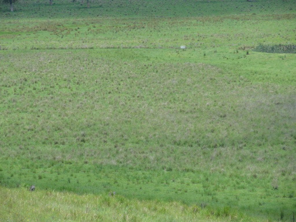 226 KNIGHTS ROAD St, Kyogle - Thumbnail 7
