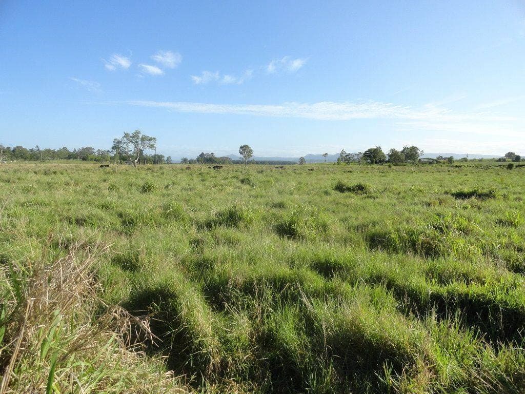 11574 Summerland Way, Kyogle - Thumbnail 2
