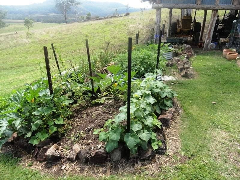 4930 Paddys Flat Road, Kyogle - Thumbnail 7