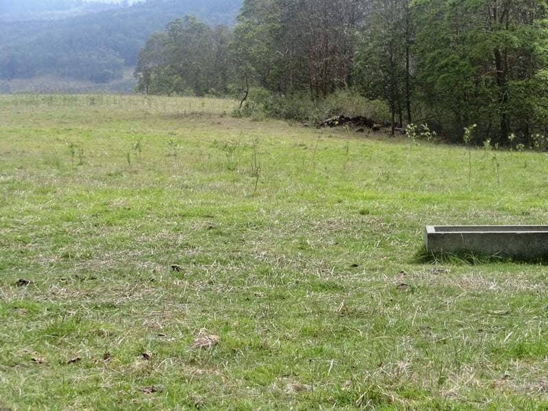 4930 Paddys Flat Road, Kyogle - Thumbnail 8