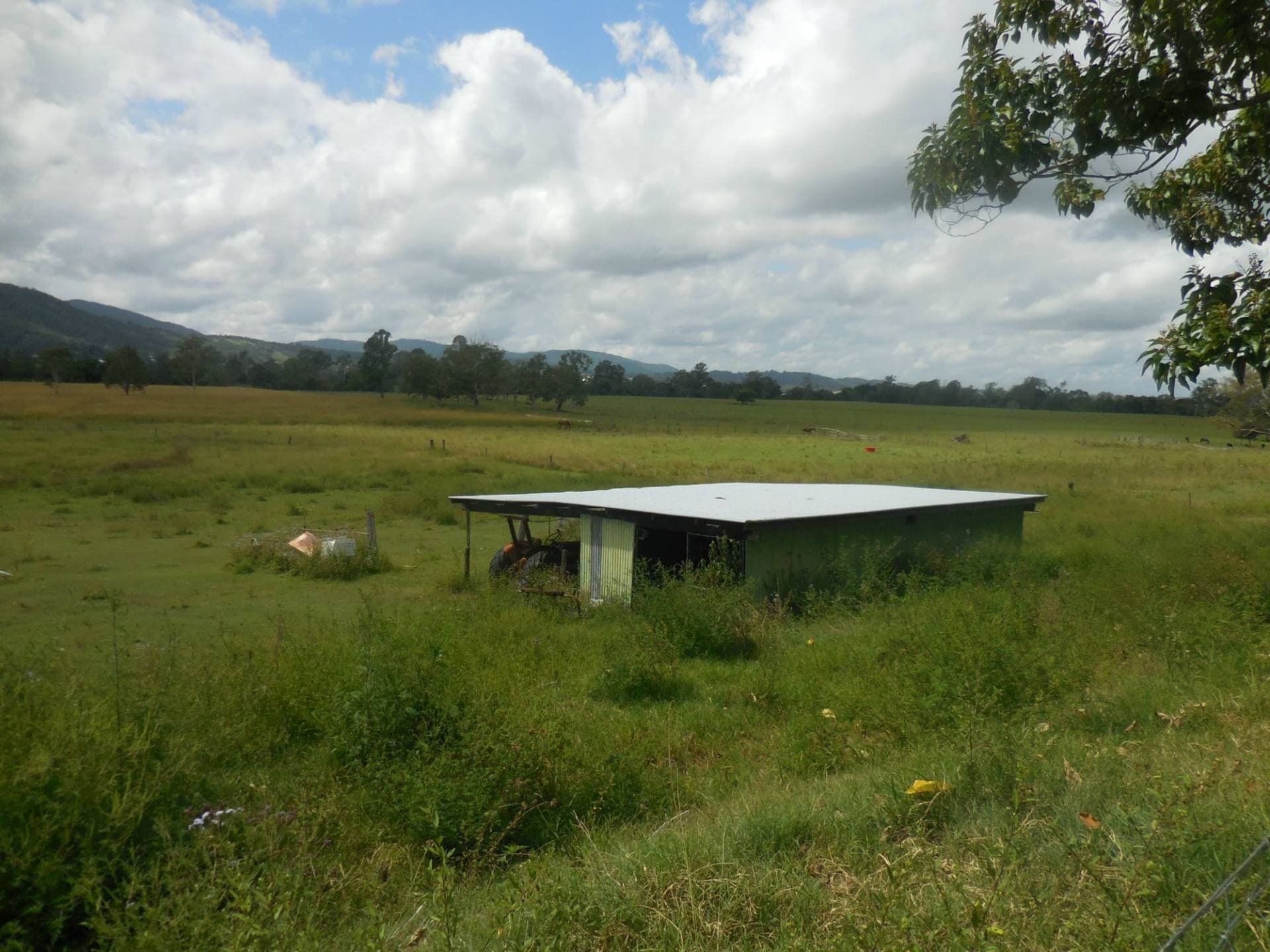 25 OMAGH ROAD, Kyogle - Thumbnail 7