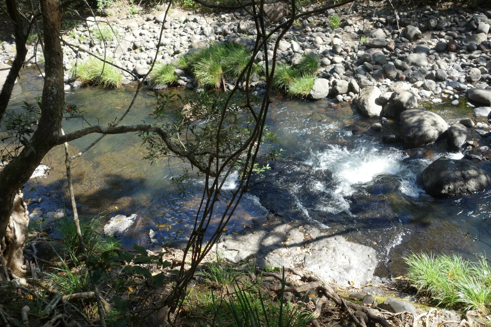 1262 Lynches Creek Rd, Kyogle - Thumbnail 2