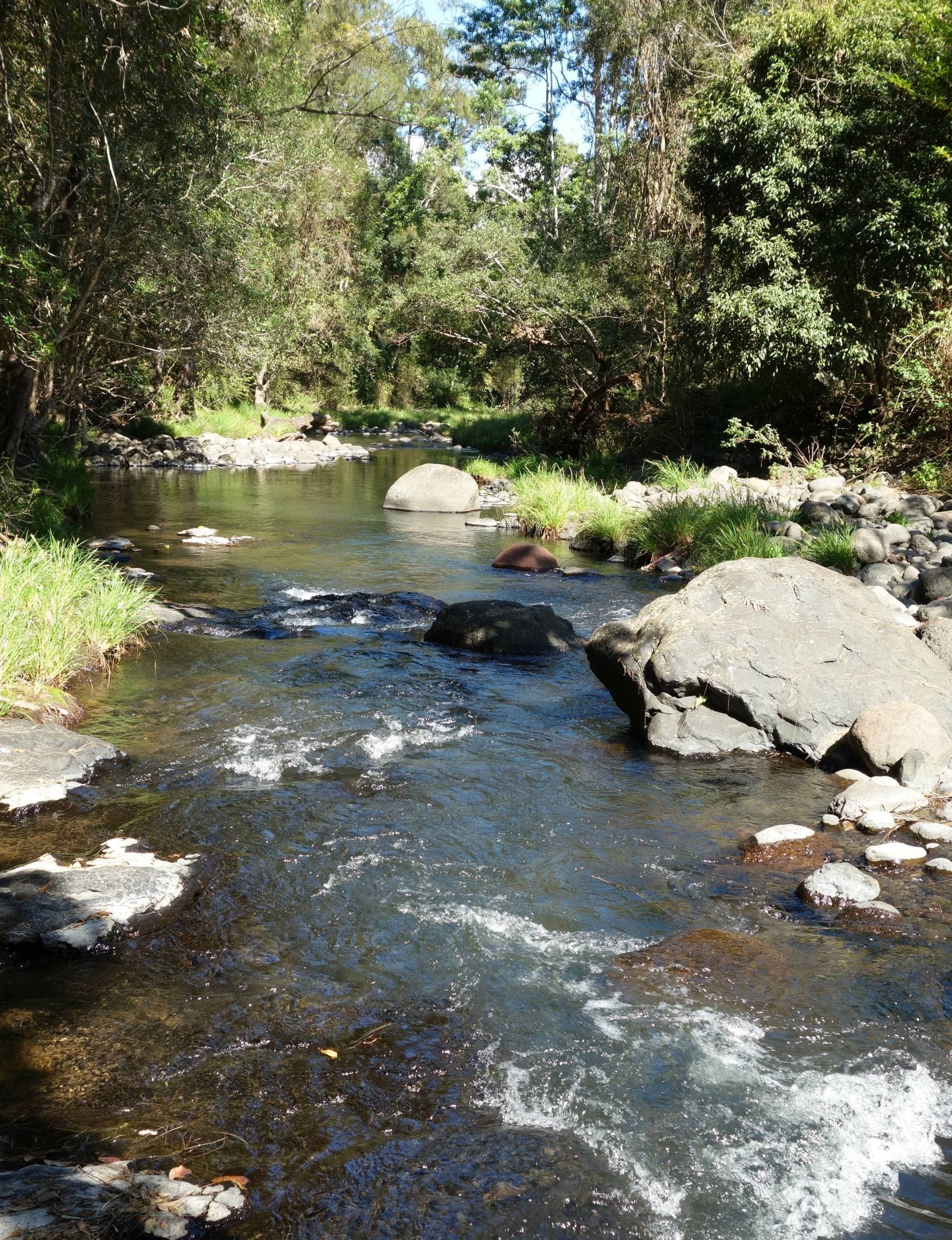 1262 Lynches Creek Rd, Kyogle - Thumbnail 3