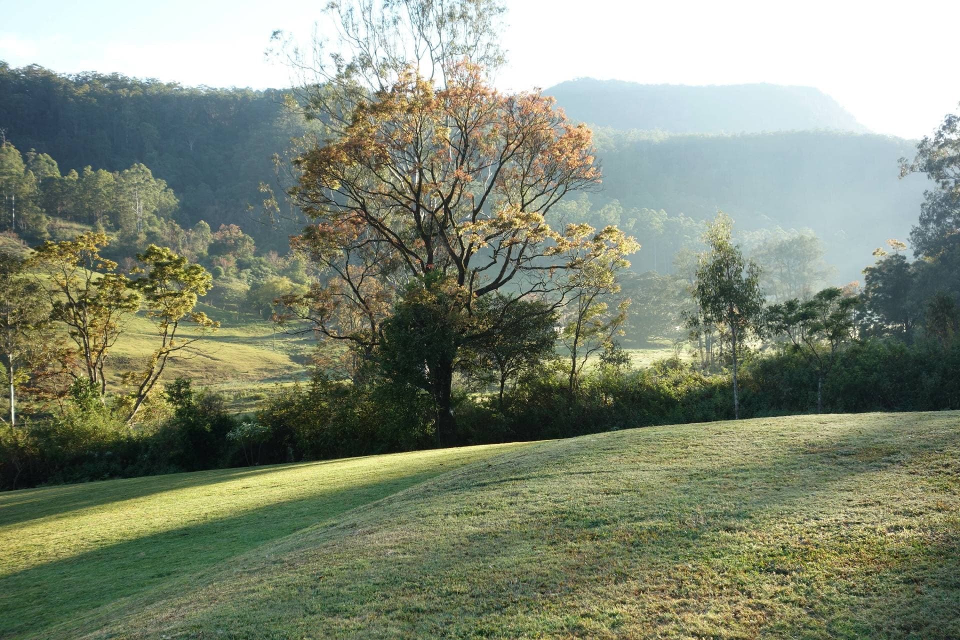 1262 Lynches Creek Rd, Kyogle - Thumbnail 4