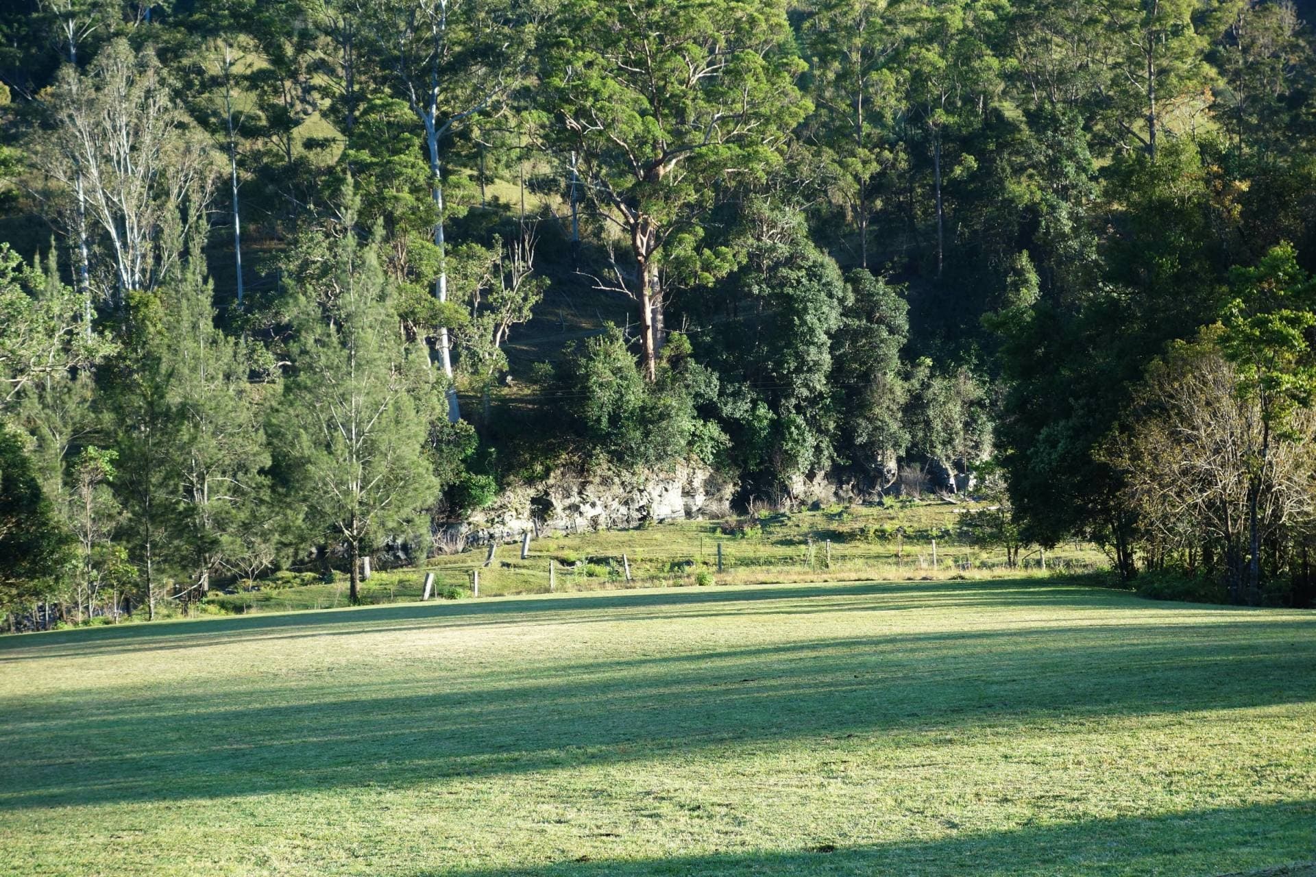 1262 Lynches Creek Rd, Kyogle - Thumbnail 5