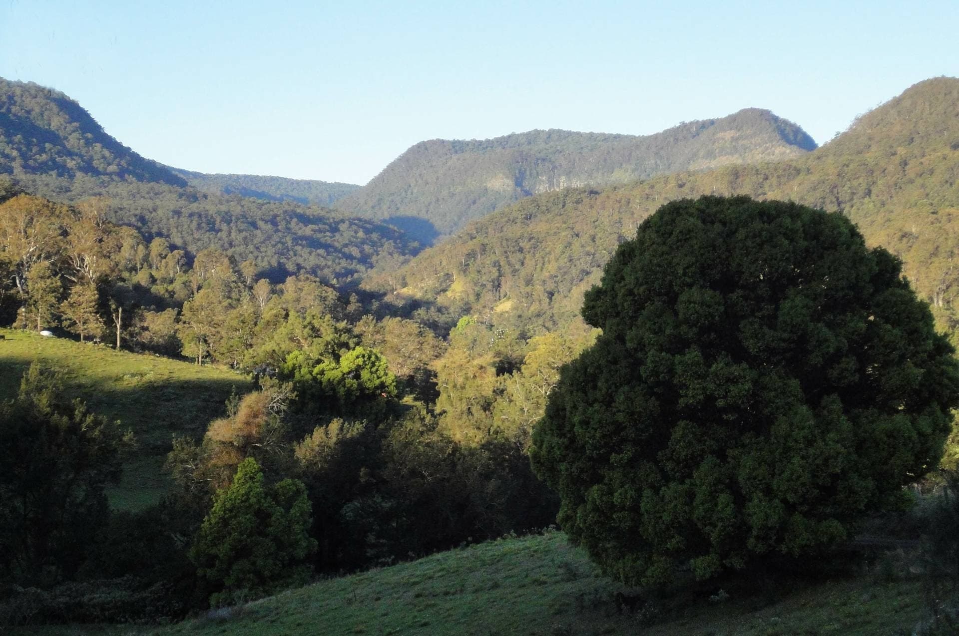 1262 Lynches Creek Rd, Kyogle - Thumbnail 6