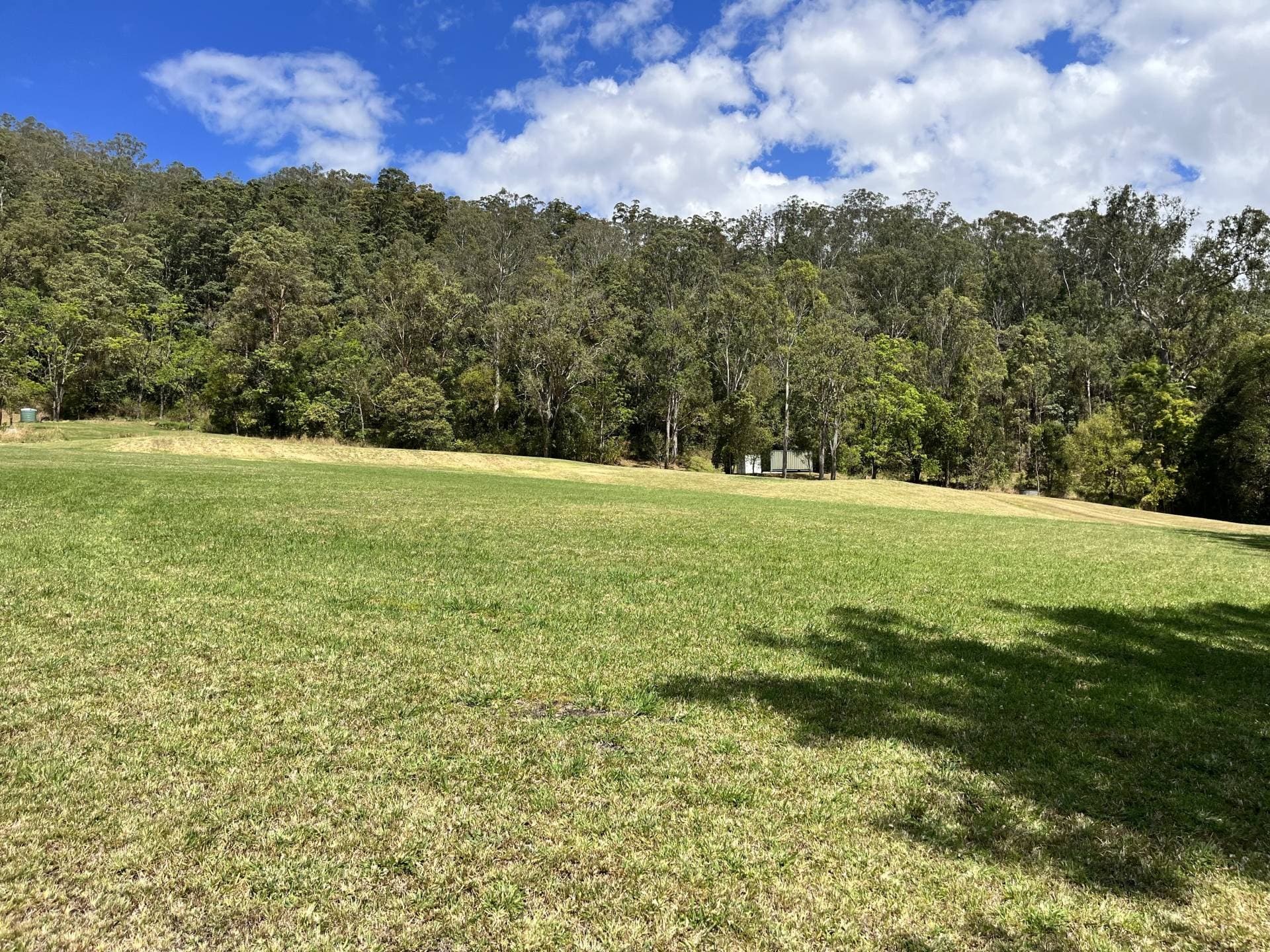 1262 Lynches Creek Rd, Kyogle - Thumbnail 7