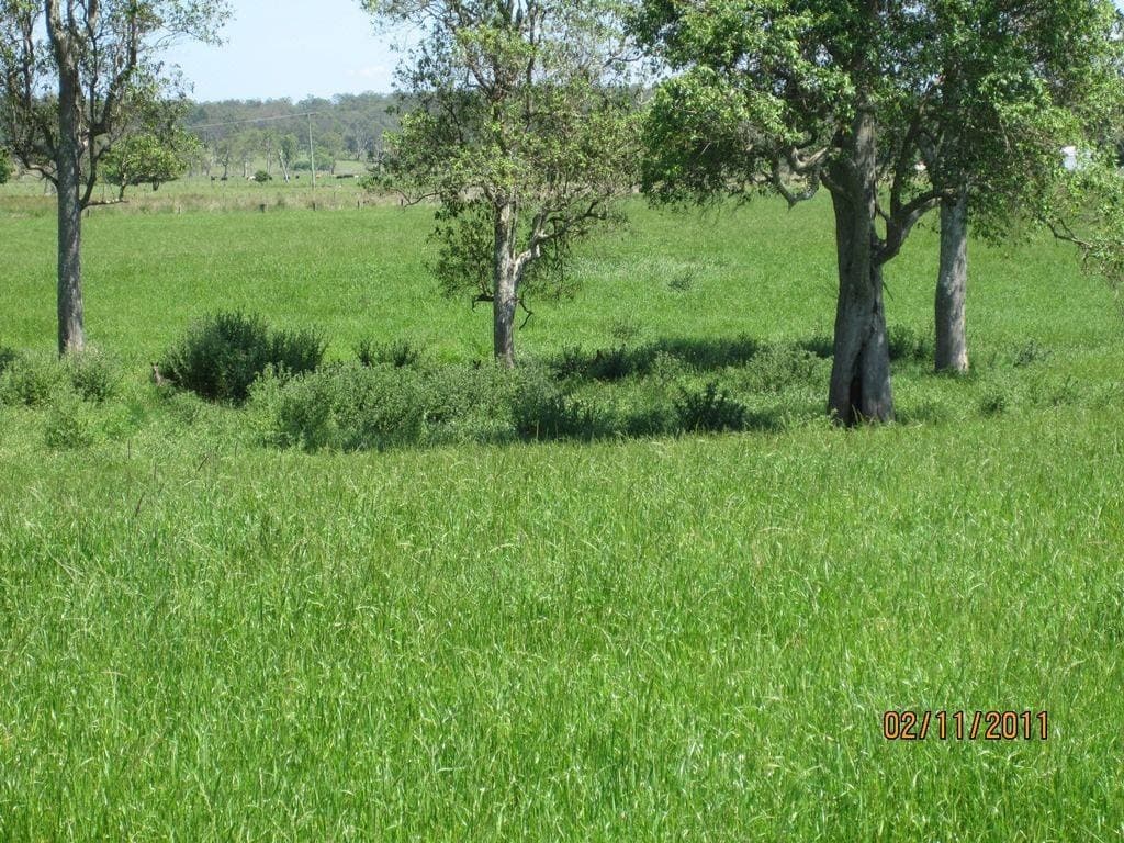 Lot 16 Sextonville Road, Kyogle - Image 1