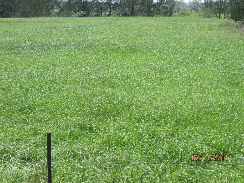 Lot 16 Sextonville Road, Kyogle - Thumbnail 2