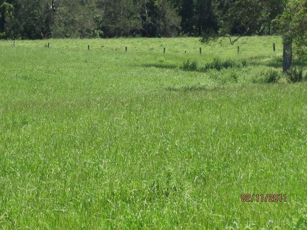 Lot 16 Sextonville Road, Kyogle - Thumbnail 3