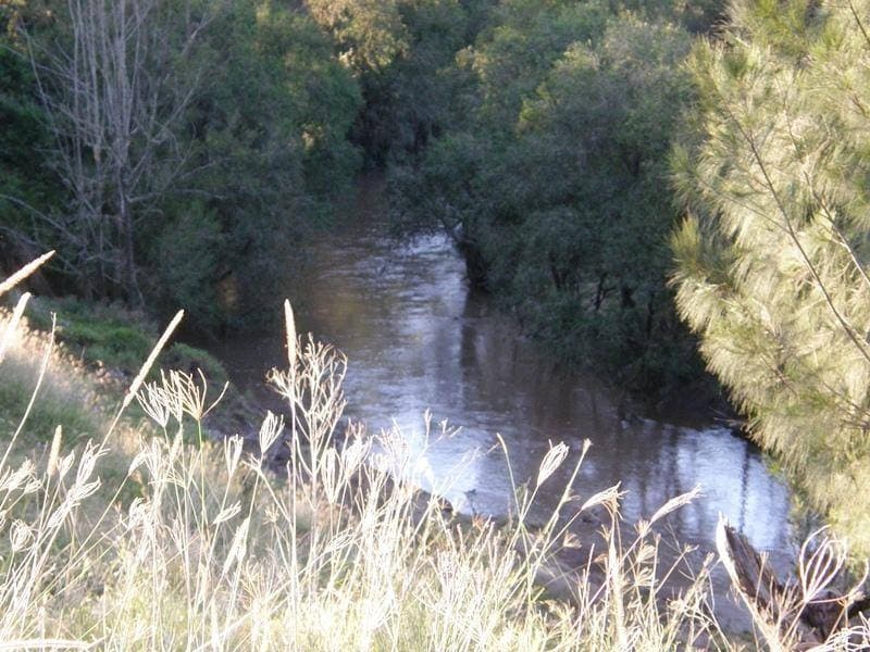 Lot 16 Sextonville Road, Kyogle - Thumbnail 4