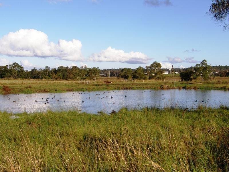 Lot 16 Sextonville Road, Kyogle - Thumbnail 5