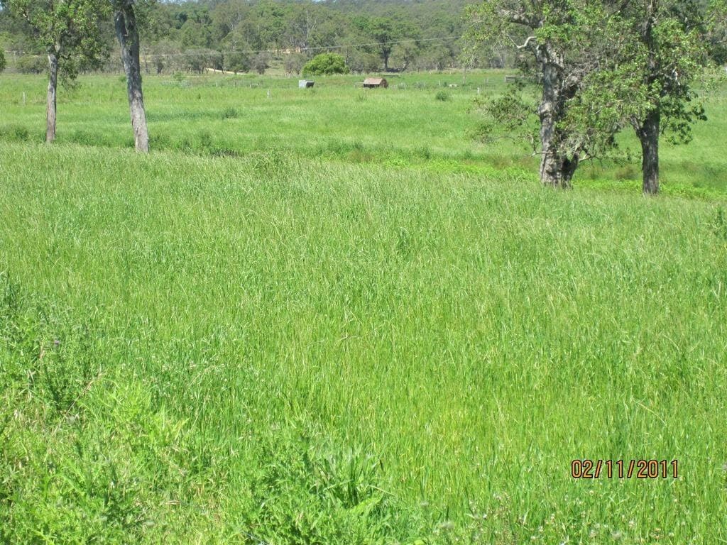 Lot 16 Sextonville Road, Kyogle - Thumbnail 7