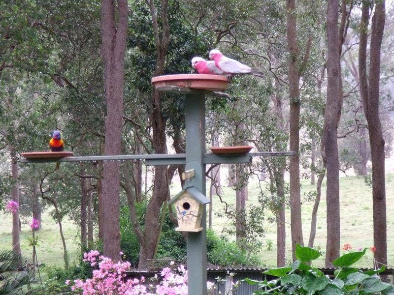 115 Runnymede Road, Kyogle - Thumbnail 2