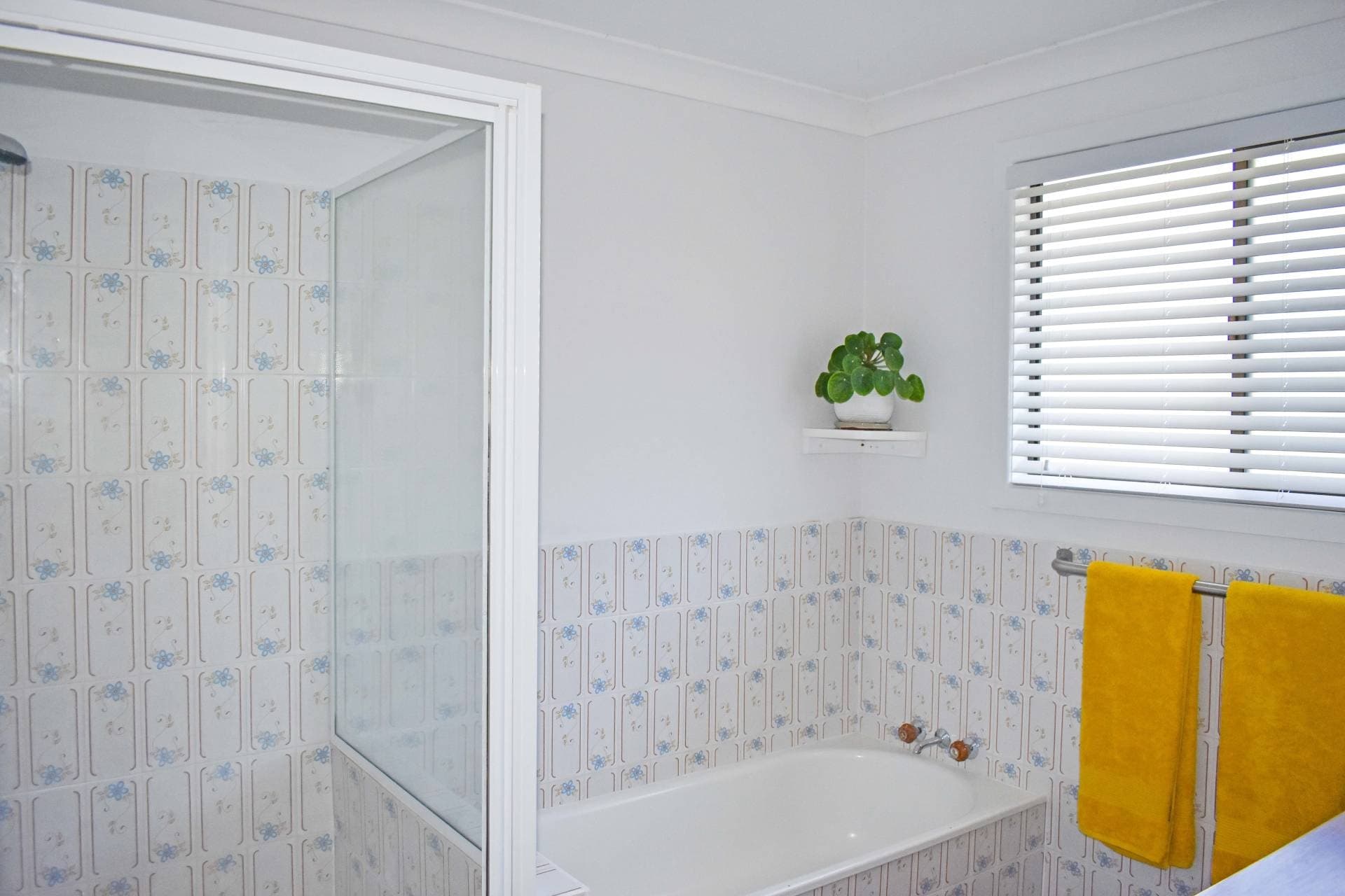 23 Boorabee St, Kyogle - Thumbnail 5