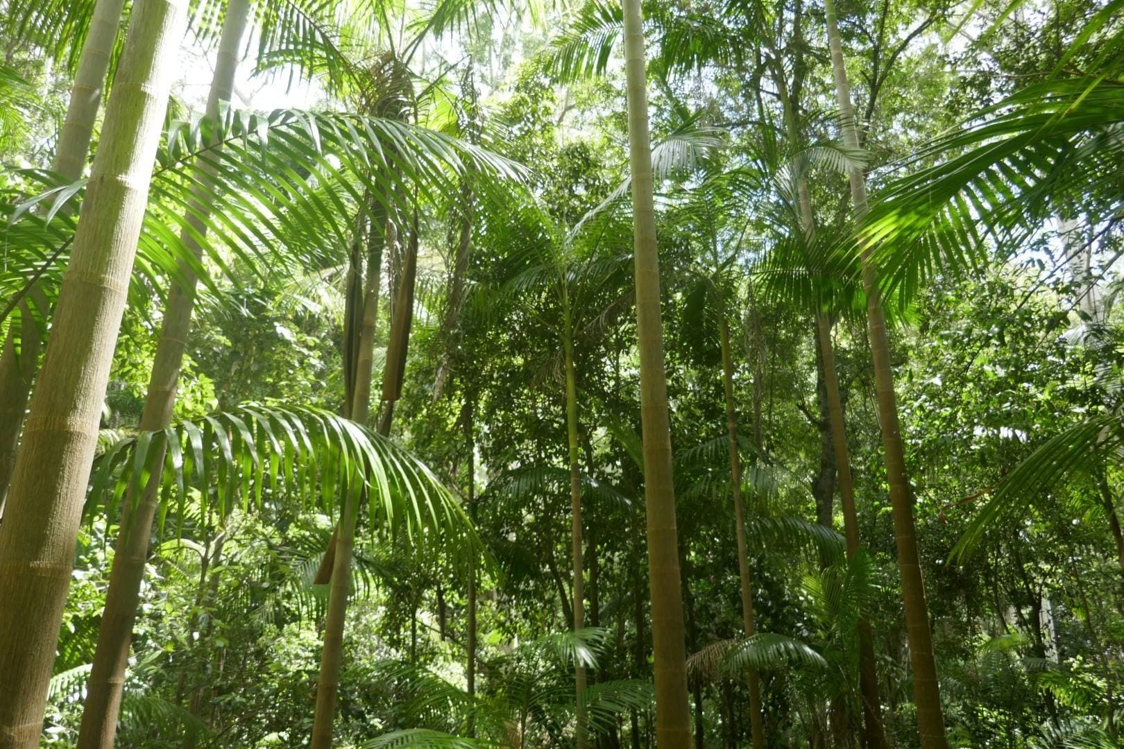 224 Davis Rd, Kyogle - Thumbnail 5
