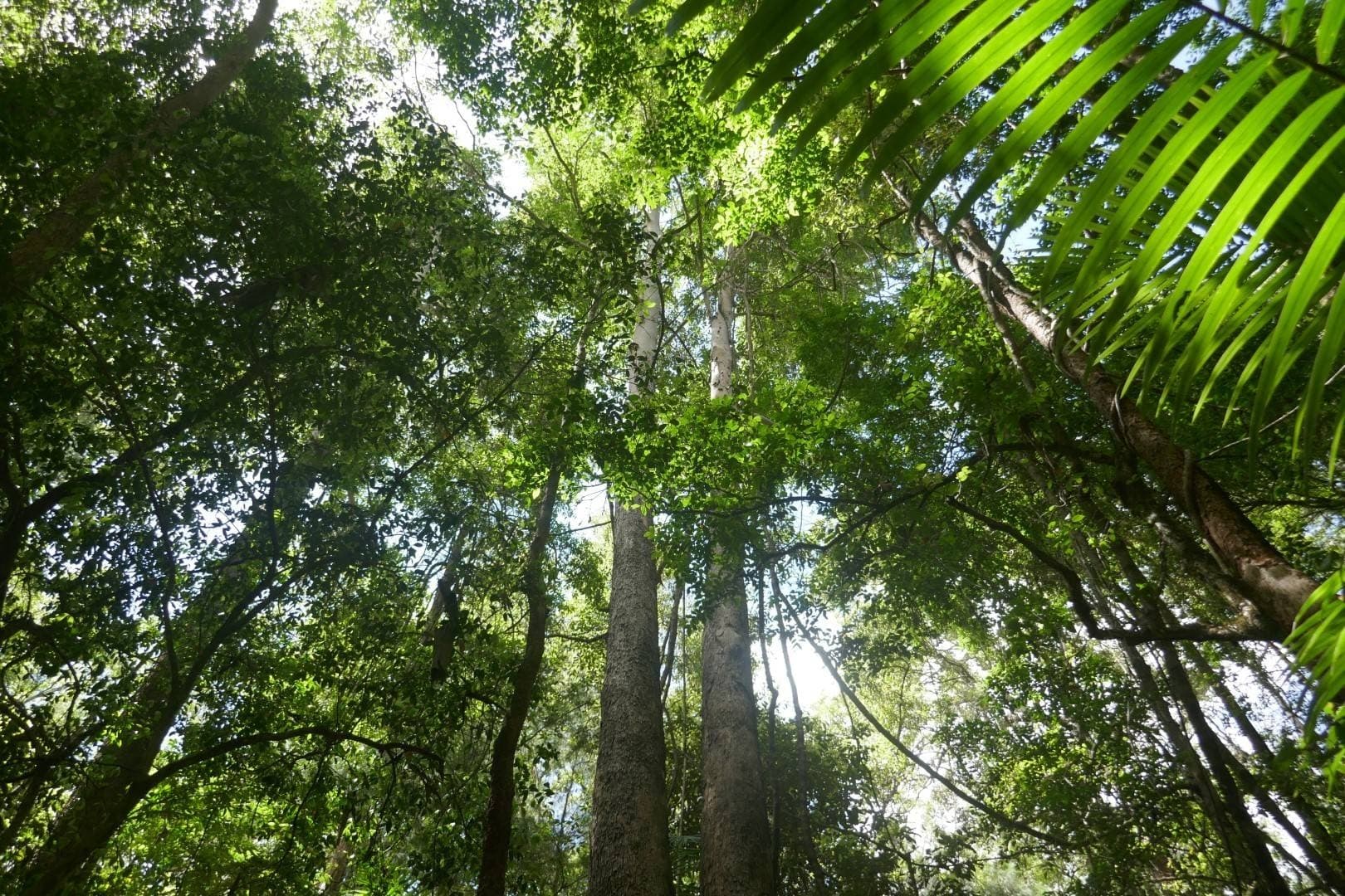 224 Davis Rd, Kyogle - Thumbnail 8