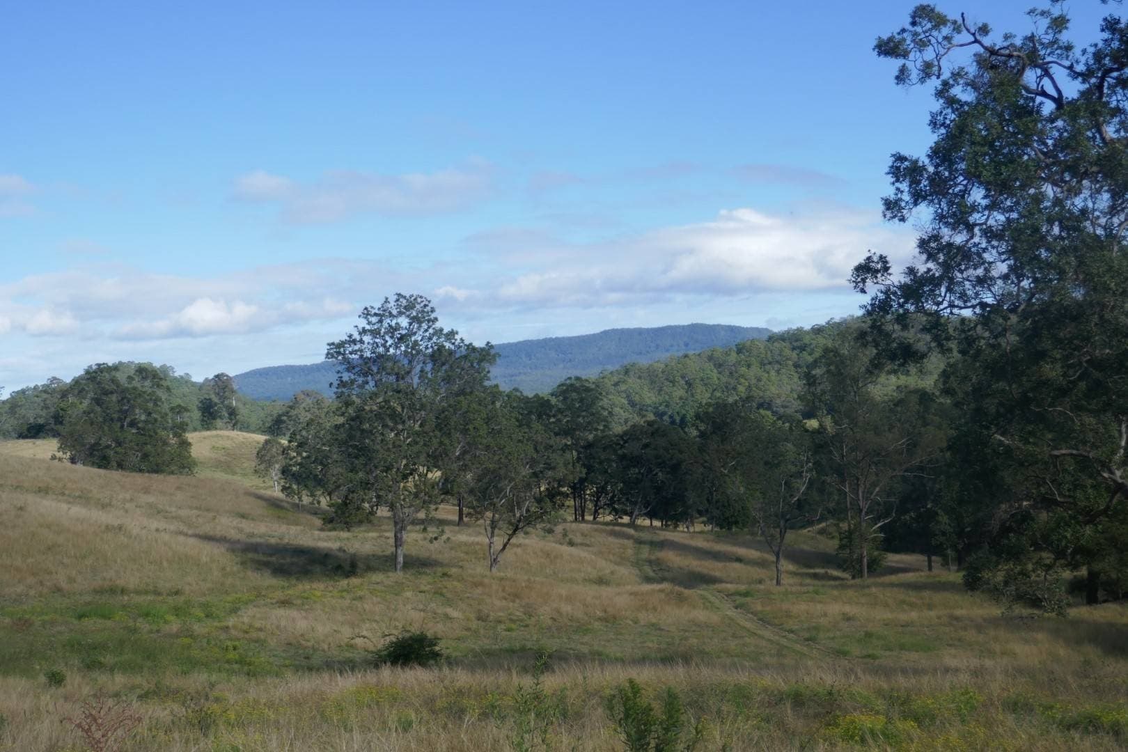 378 Bonners Lane, Kyogle - Thumbnail 2