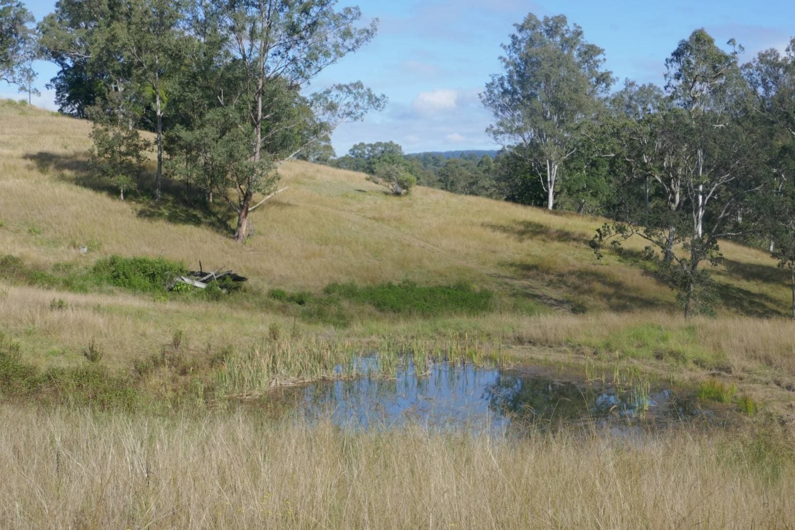 378 Bonners Lane, Kyogle - Thumbnail 3