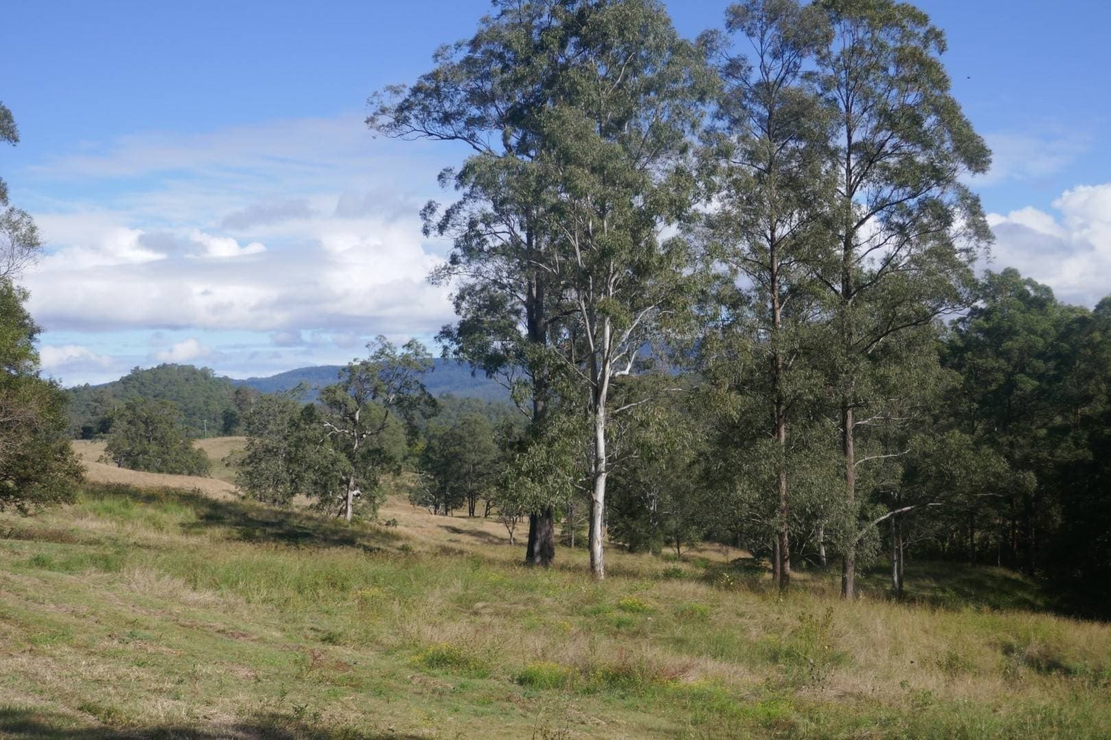 378 Bonners Lane, Kyogle - Thumbnail 4