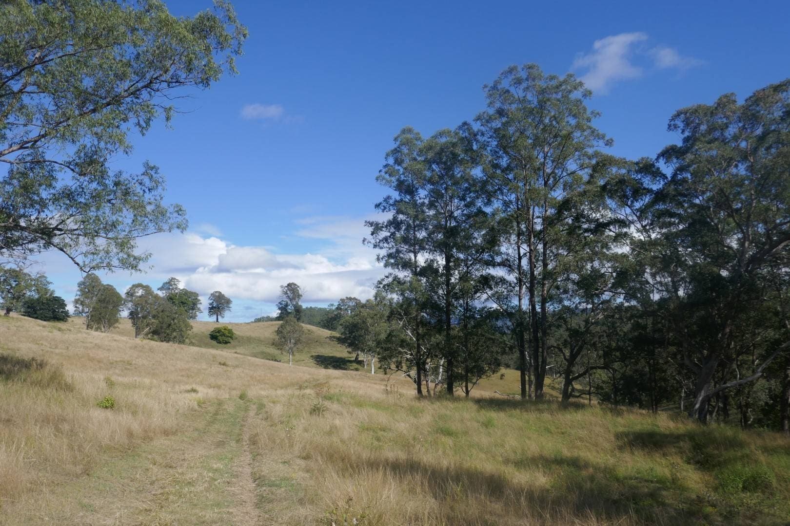 378 Bonners Lane, Kyogle - Thumbnail 6