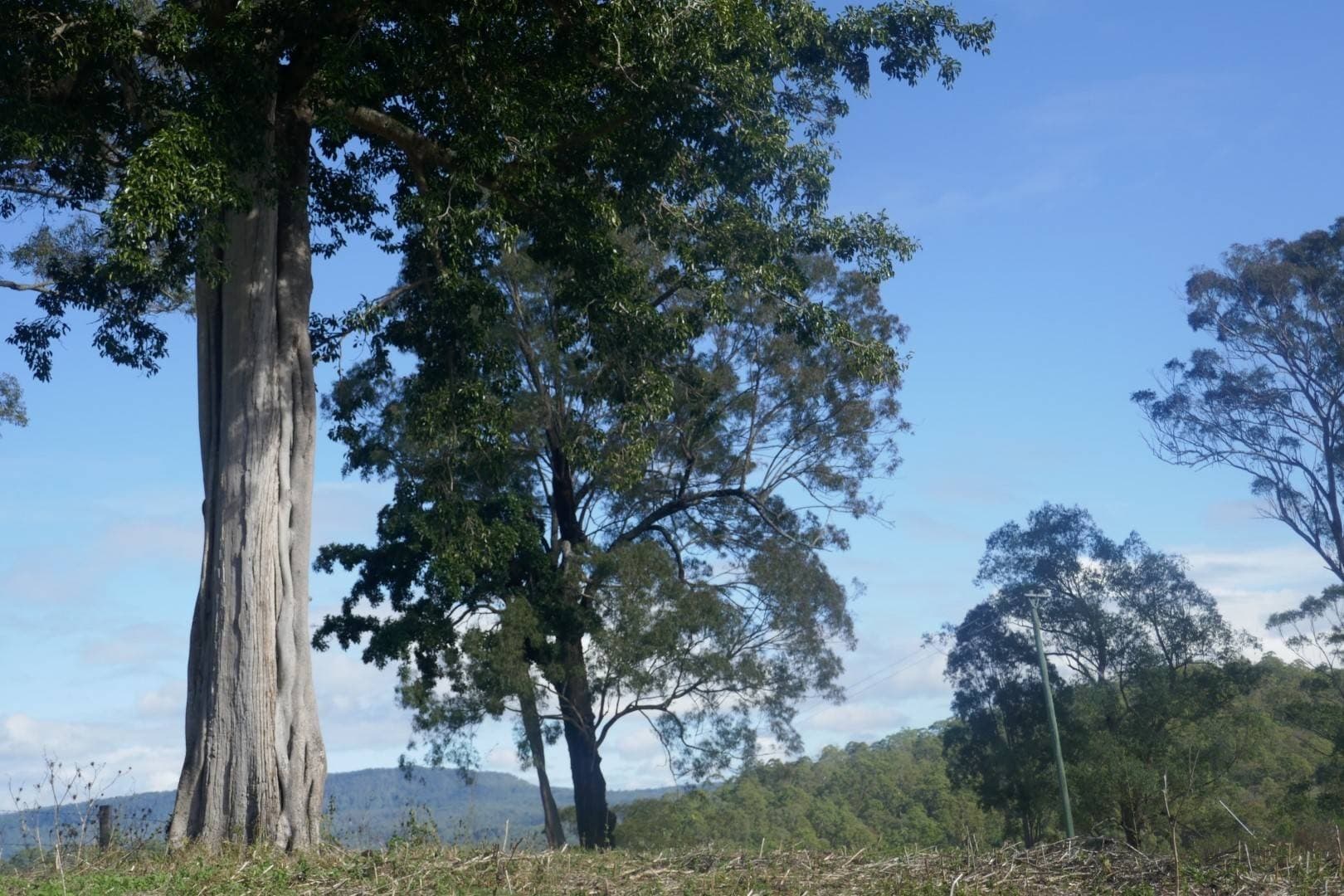 378 Bonners Lane, Kyogle - Thumbnail 7