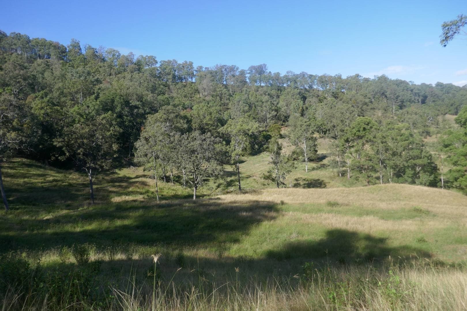 378 Bonners Lane, Kyogle - Thumbnail 8