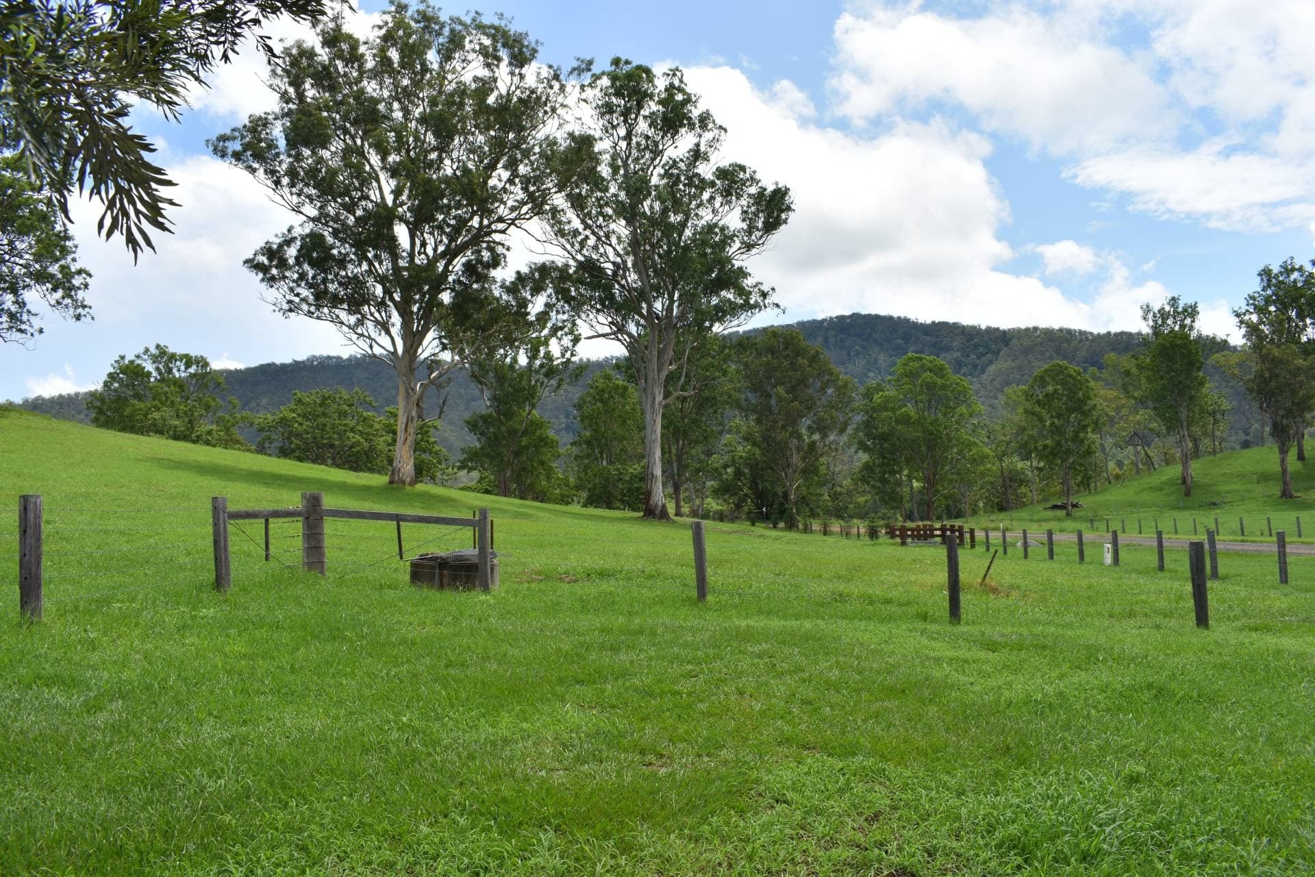 134 Killaloe Road,, Kyogle - Thumbnail 6