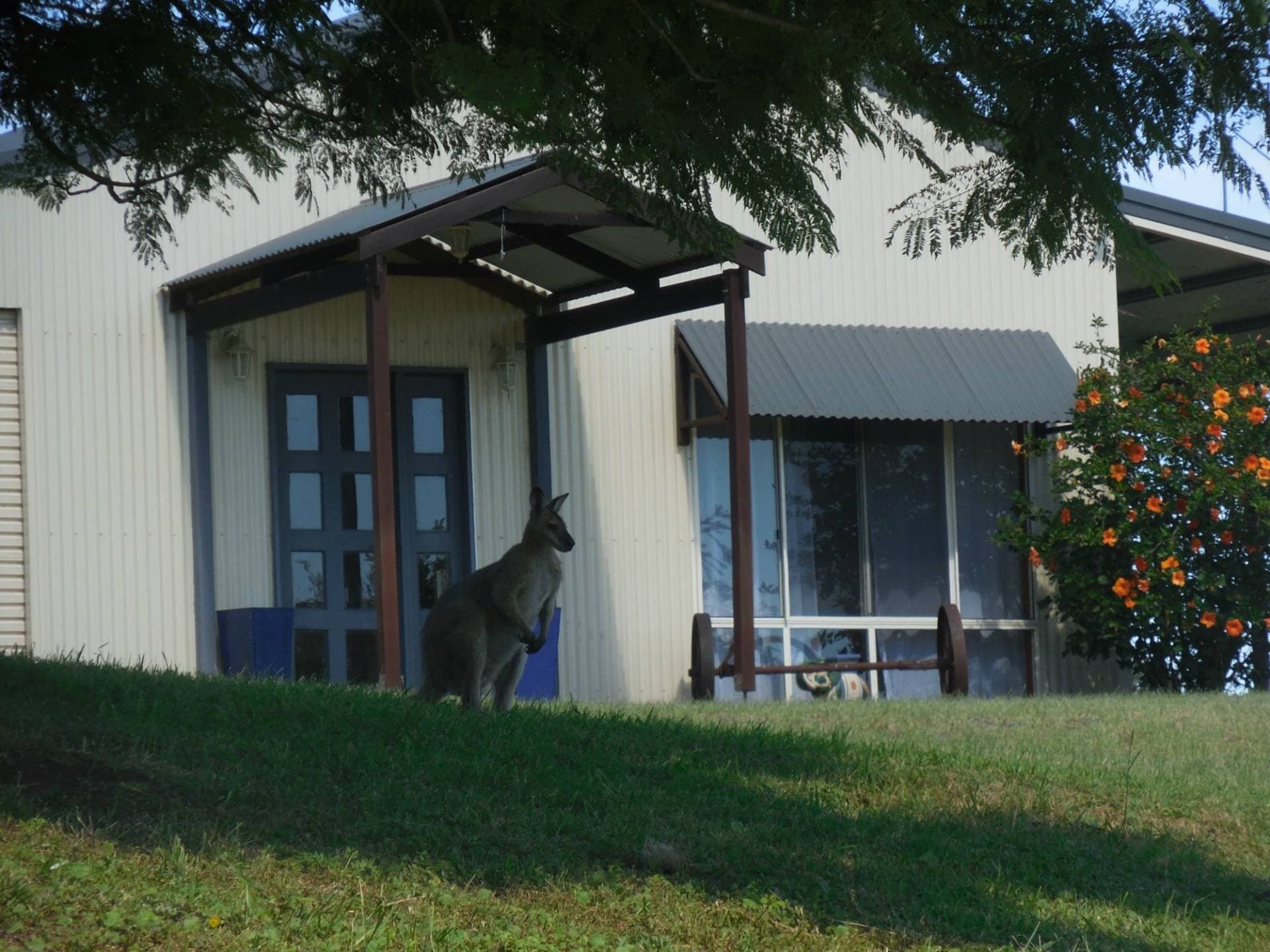 96 Doohans Road, Kyogle - Thumbnail 2