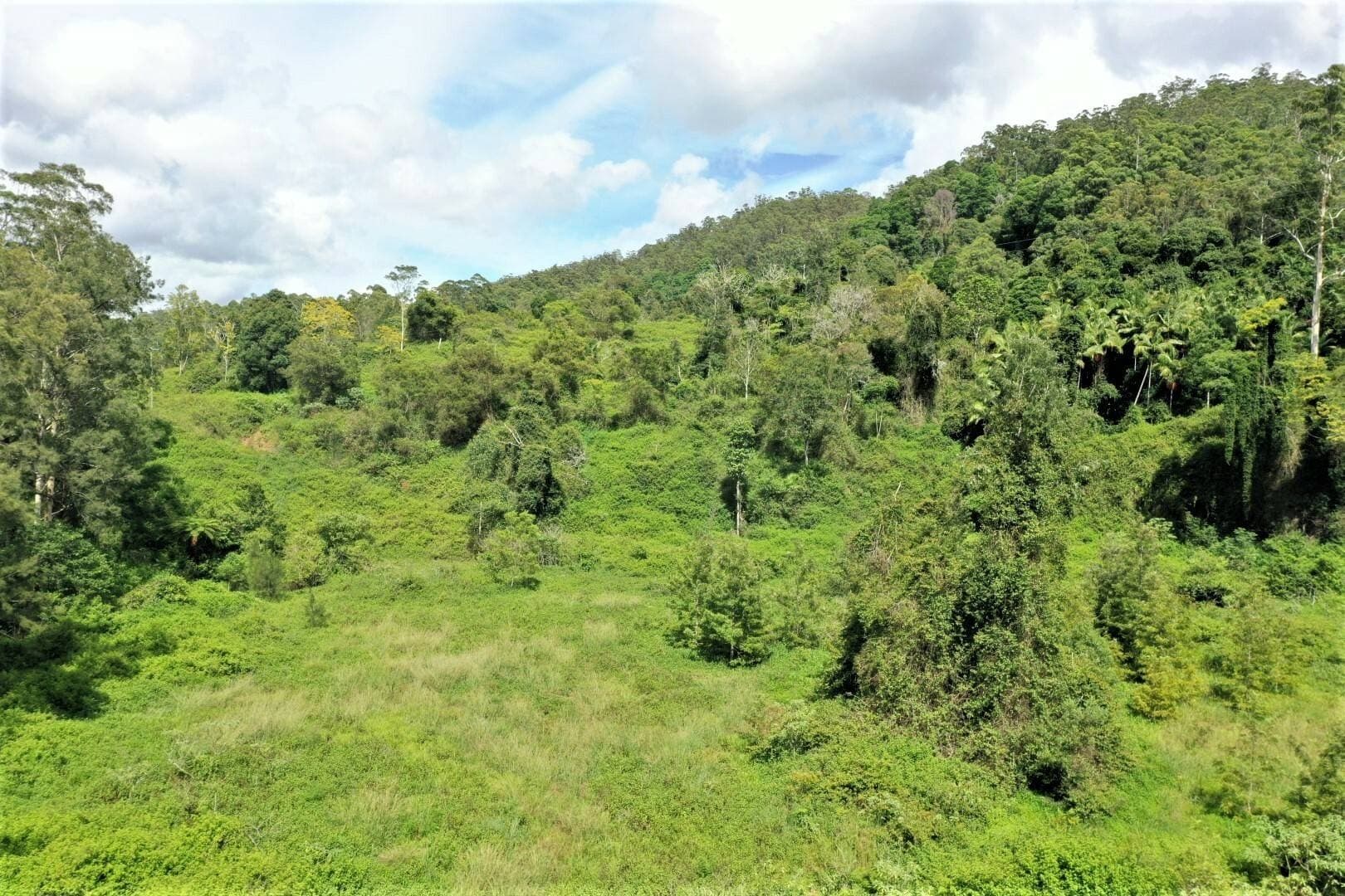 1100 Horseshoe Creek Road, Kyogle - Thumbnail 4