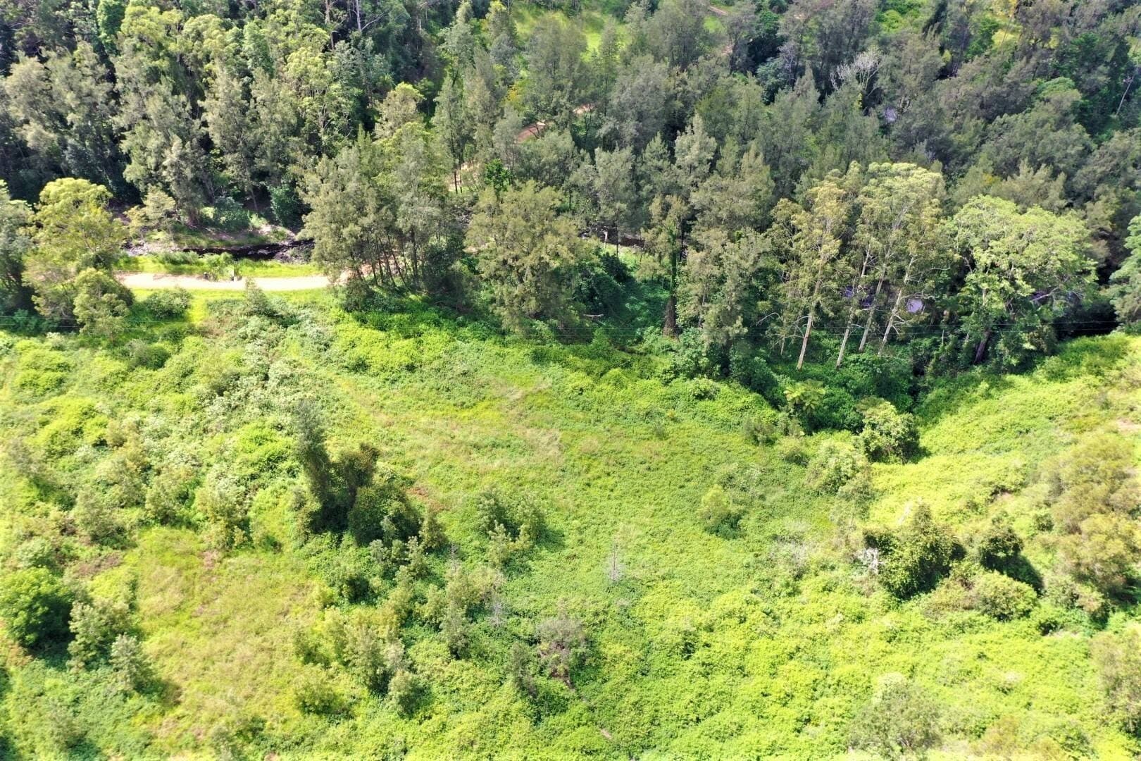 1100 Horseshoe Creek Road, Kyogle - Thumbnail 6