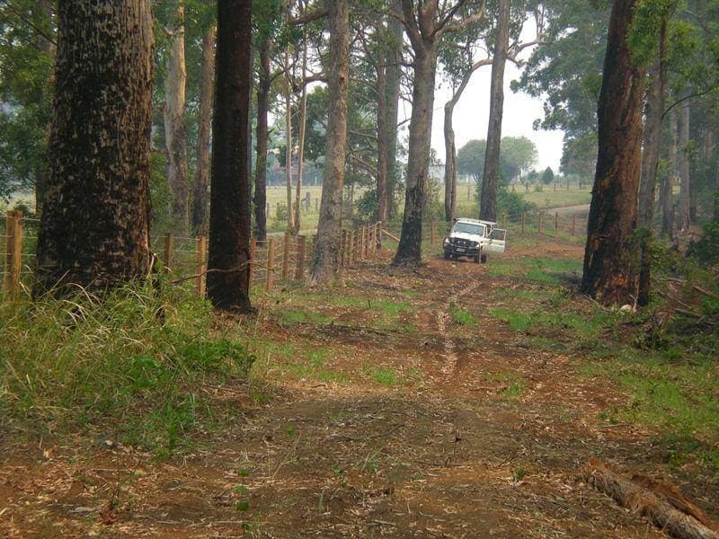 2250 Paddys Flat Road, Tabulam - Thumbnail 2