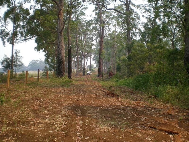 2250 Paddys Flat Road, Tabulam - Thumbnail 4