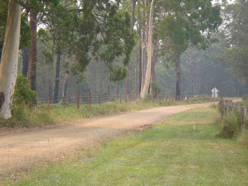 2250 Paddys Flat Road, Tabulam - Thumbnail 5