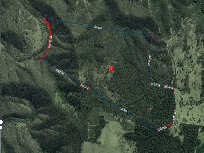 2250 Paddys Flat Road, Tabulam - Thumbnail 7