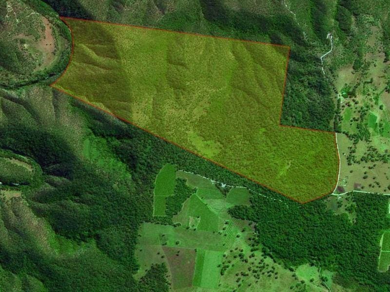 2250 Paddys Flat Road, Tabulam - Thumbnail 8