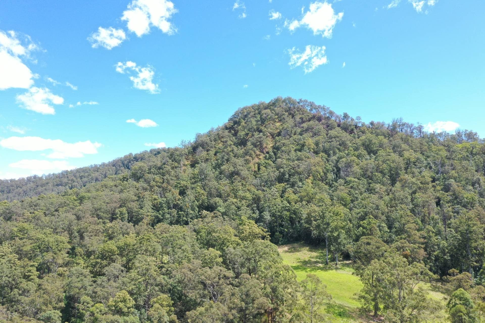 10 Forrest Road Lynches Creek, Kyogle - Thumbnail 3