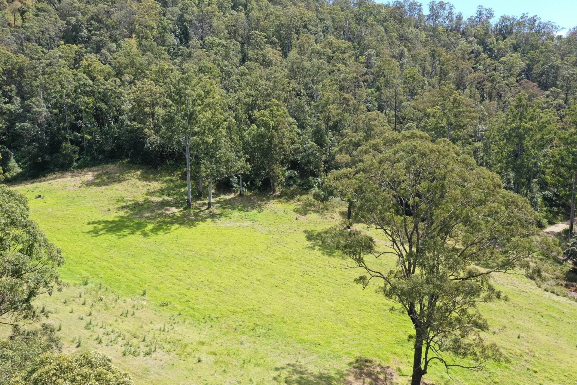 10 Forrest Road Lynches Creek, Kyogle - Thumbnail 4