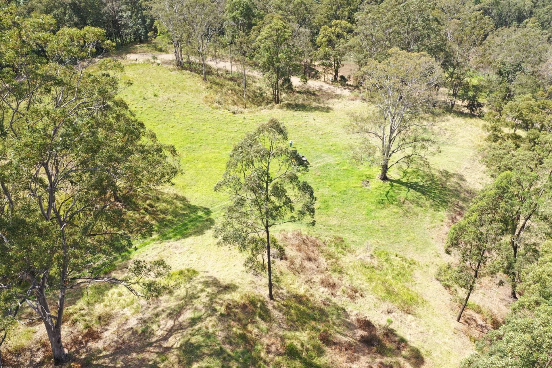 10 Forrest Road Lynches Creek, Kyogle - Thumbnail 5