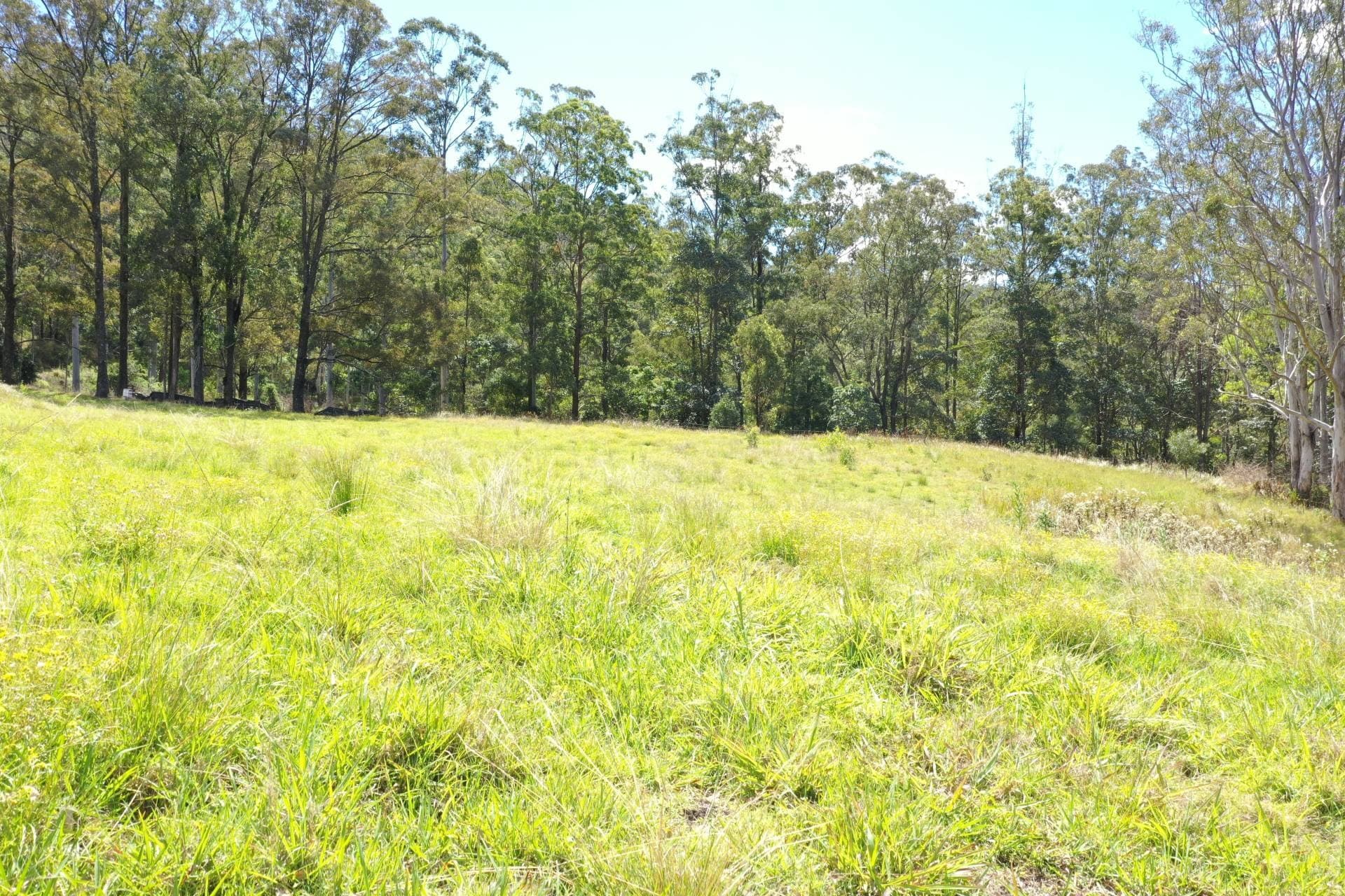 10 Forrest Road Lynches Creek, Kyogle - Thumbnail 7