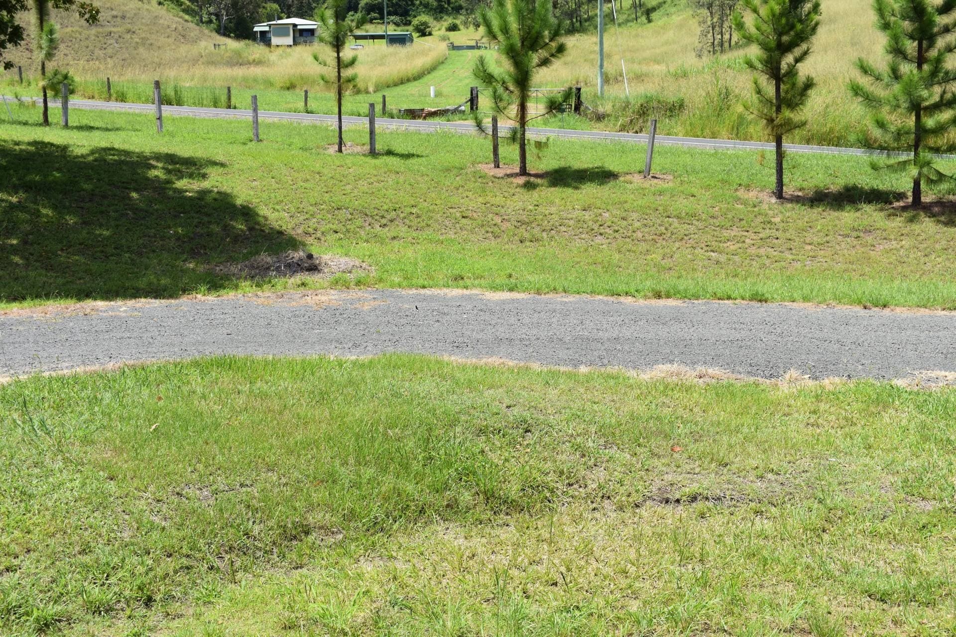 6342 Kyogle Rd, Kyogle - Thumbnail 7