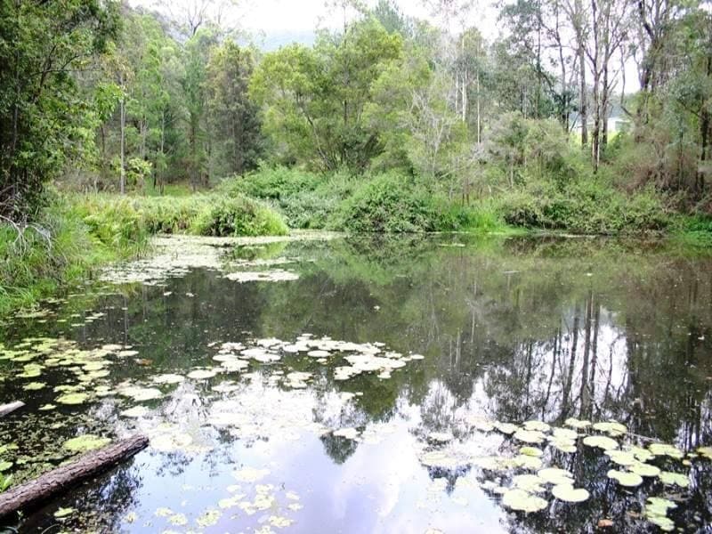 681 Cawongla Road, Kyogle - Thumbnail 8