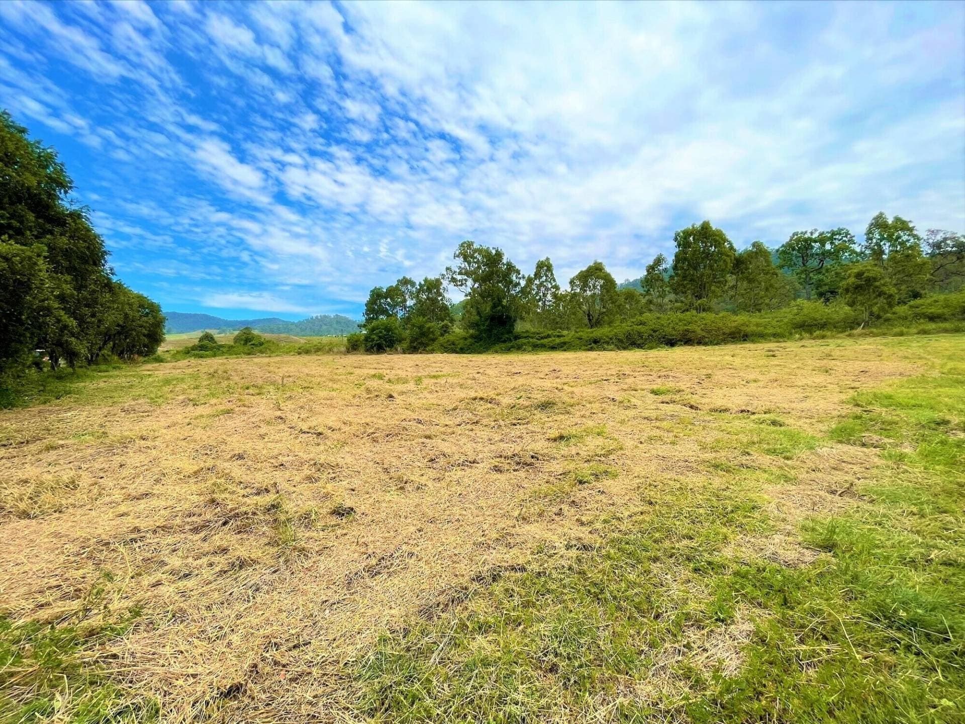 Lot 88 Calamia Road, Kyogle - Thumbnail 2