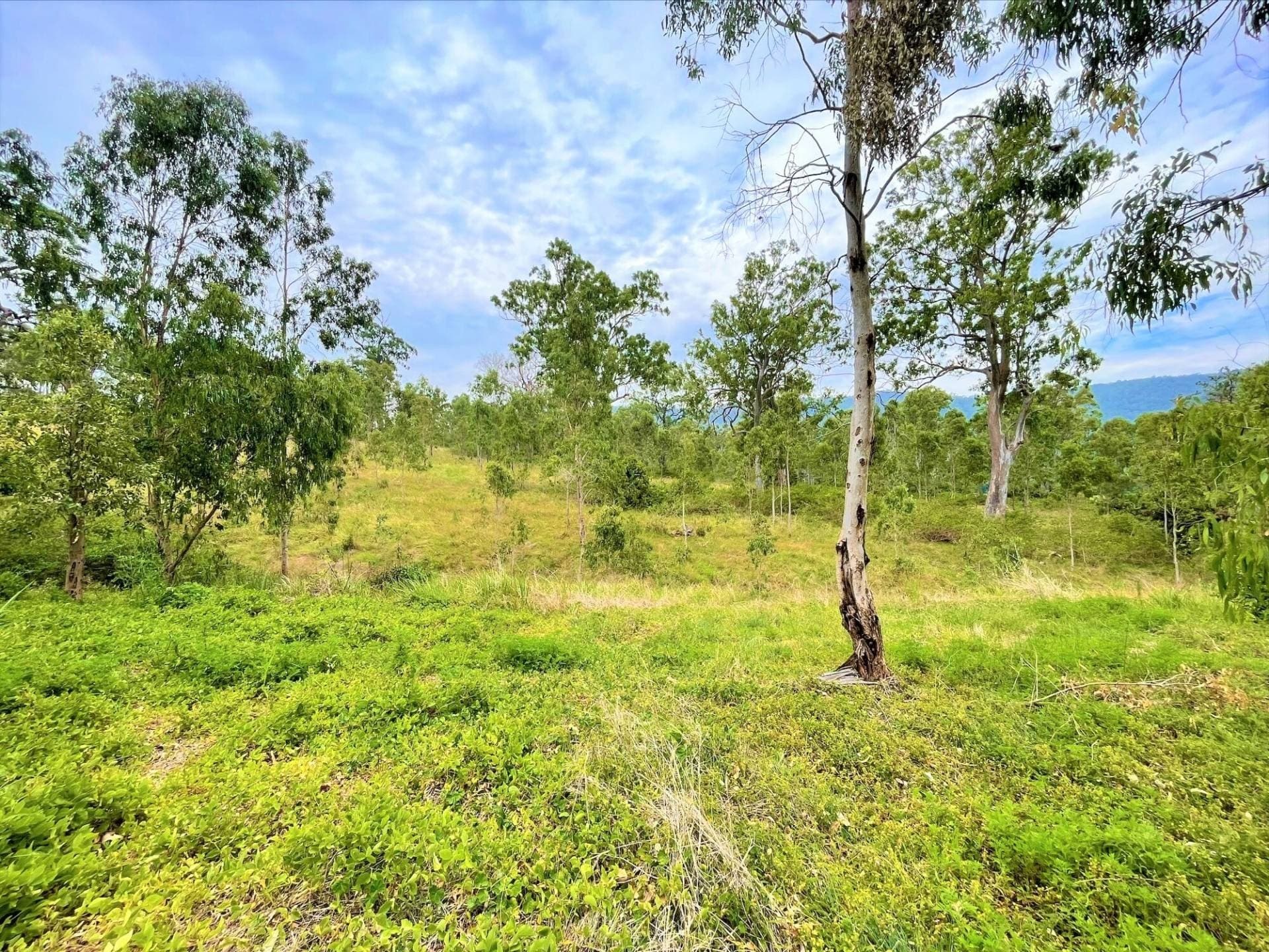 Lot 88 Calamia Road, Kyogle - Thumbnail 3
