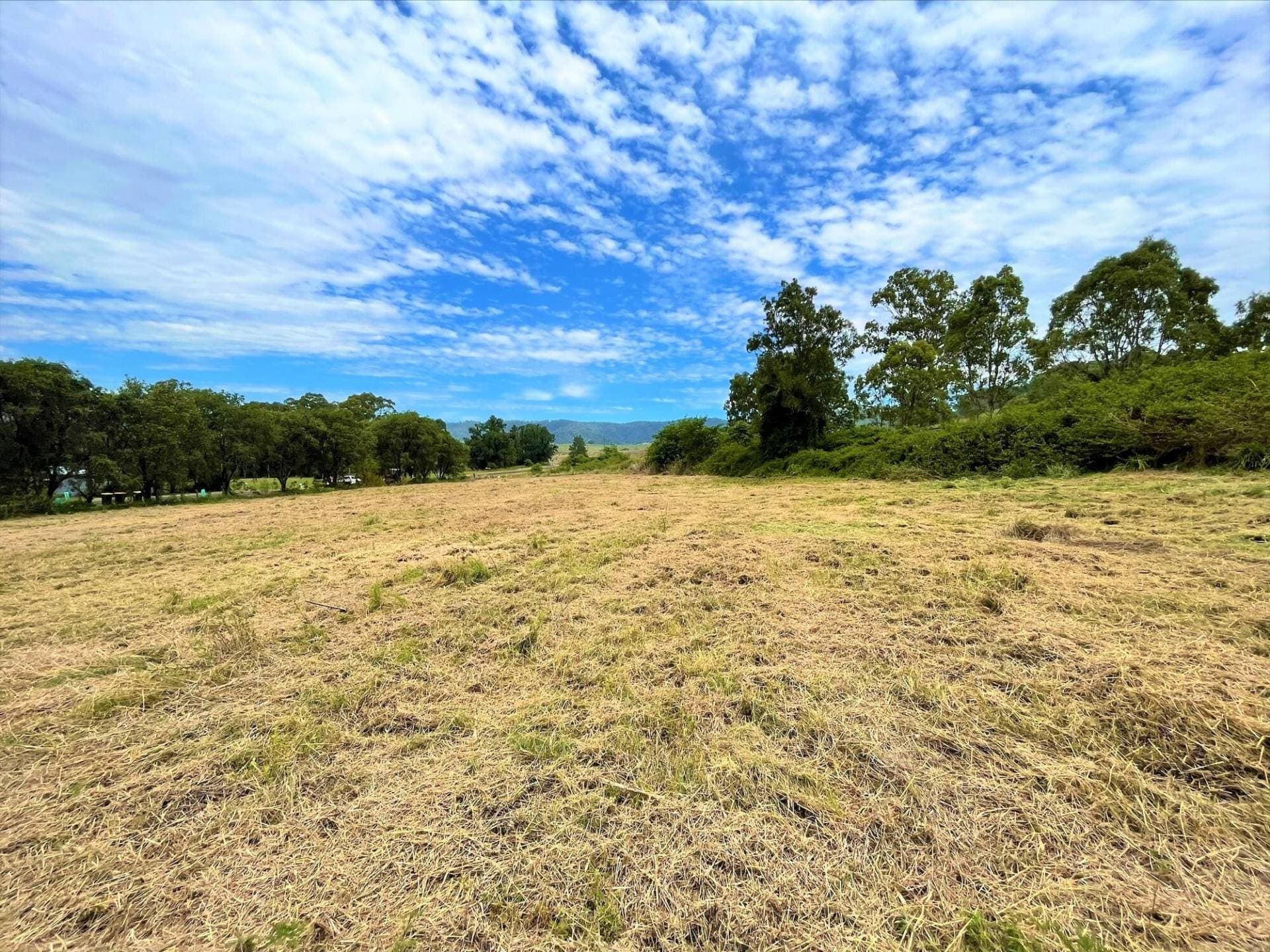 Lot 88 Calamia Road, Kyogle - Thumbnail 4
