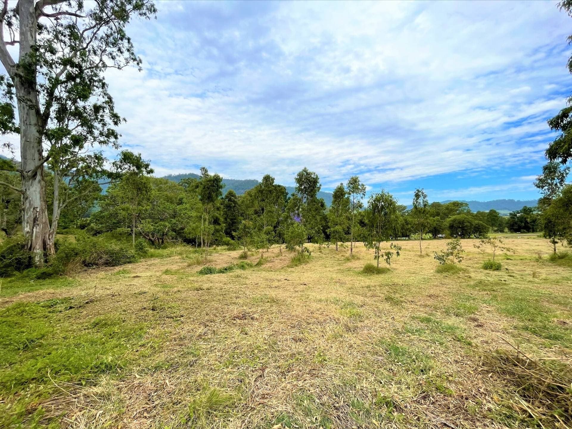 Lot 88 Calamia Road, Kyogle - Thumbnail 5