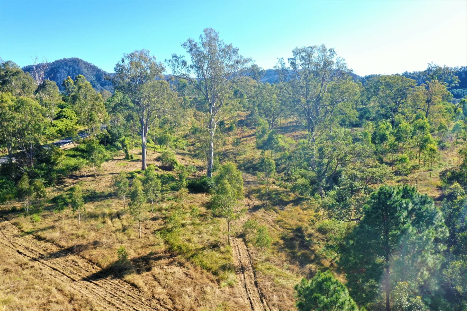 Lot 88 Calamia Road, Kyogle - Thumbnail 6