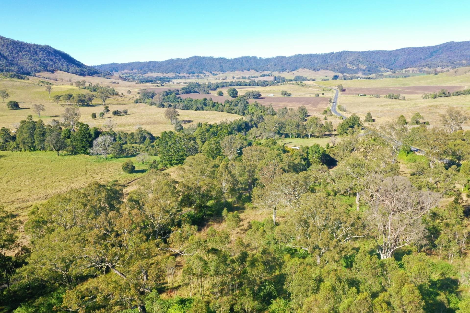 Lot 88 Calamia Road, Kyogle - Thumbnail 7