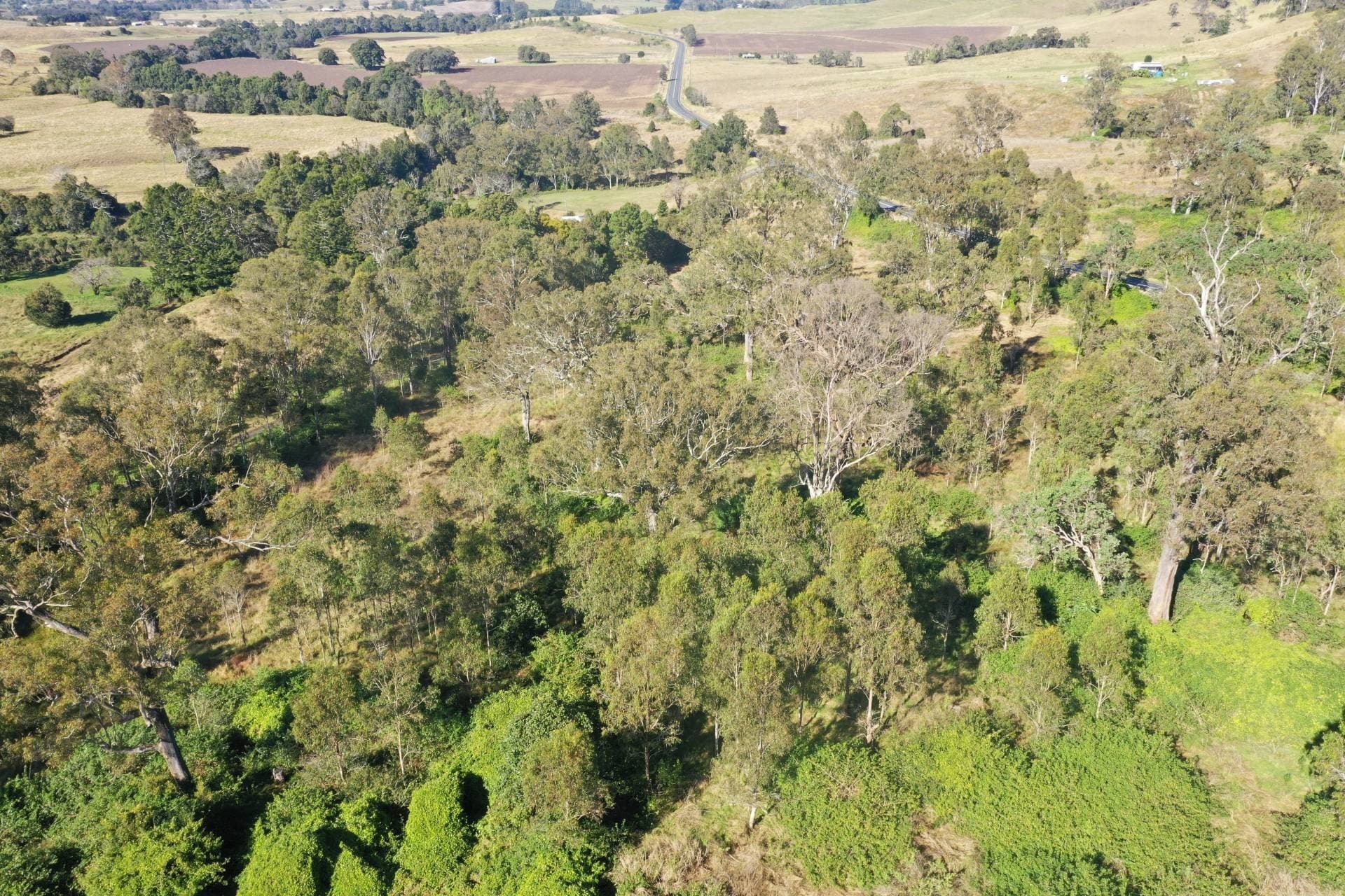 Lot 88 Calamia Road, Kyogle - Thumbnail 8
