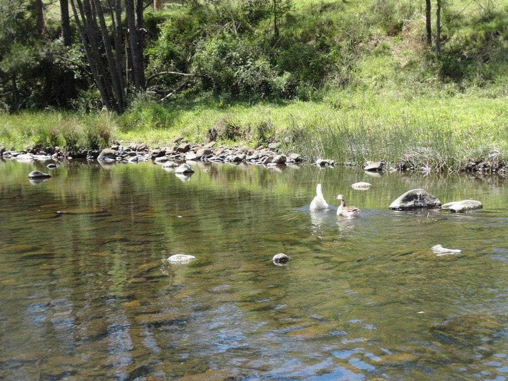 376a FINDON CREEK ROAD St, Kyogle - Thumbnail 2